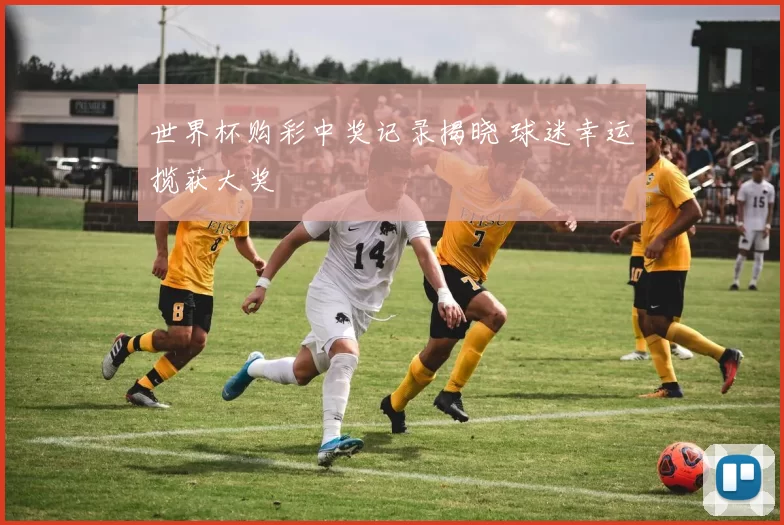世界杯购彩中奖记录揭晓 球迷幸运揽获大奖