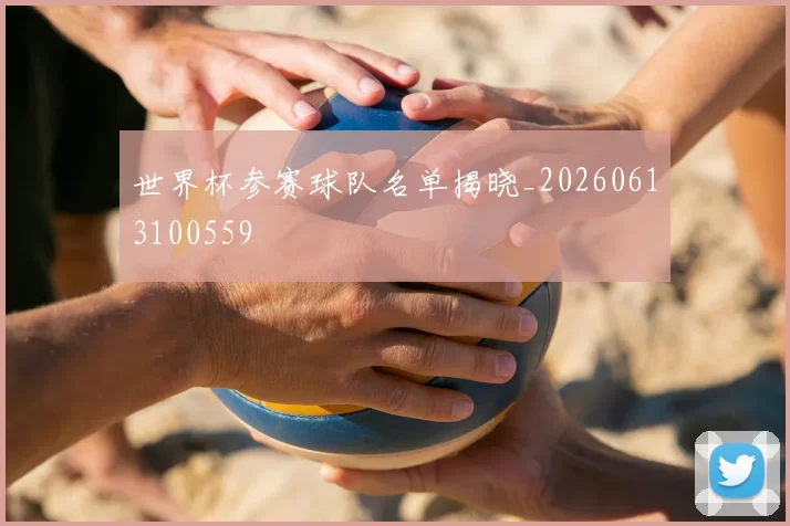 世界杯参赛球队名单揭晓_20260613100559