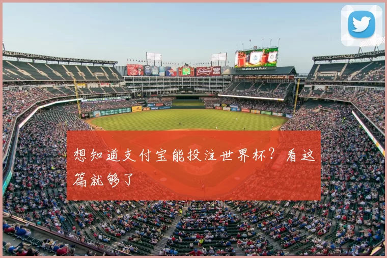 想知道支付宝能投注世界杯？看这篇就够了