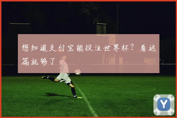 想知道支付宝能投注世界杯？看这篇就够了