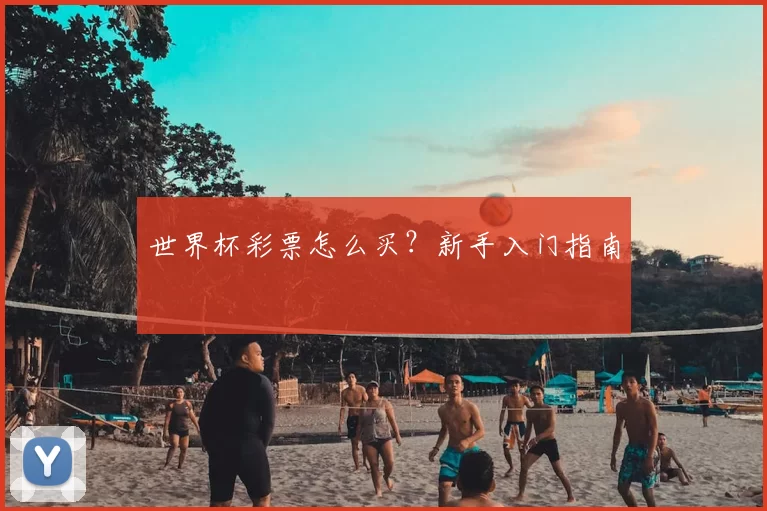 世界杯彩票怎么买？新手入门指南