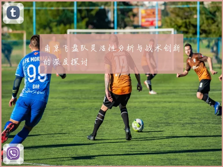 南京飞盘队灵活性分析与战术创新的深度探讨
