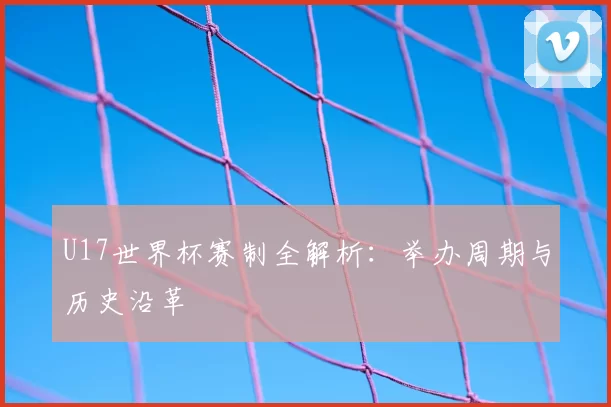 U17世界杯赛制全解析：举办周期与历史沿革