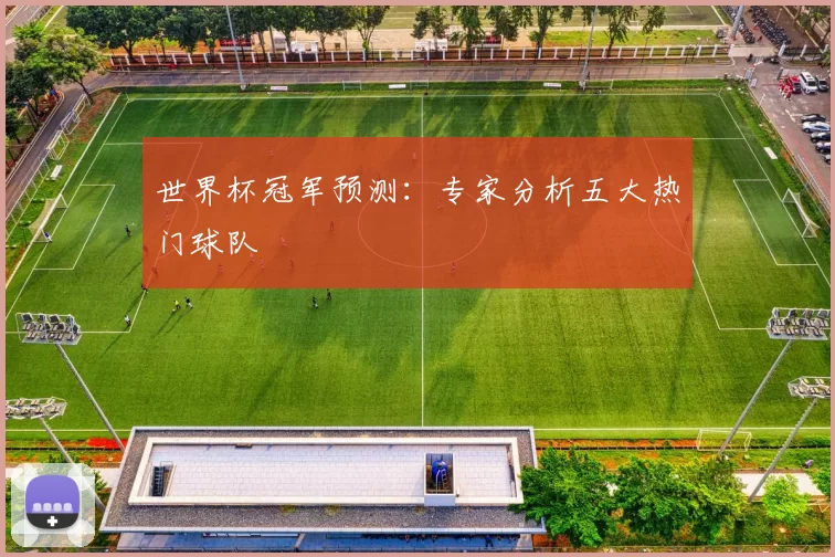 世界杯冠军预测：专家分析五大热门球队