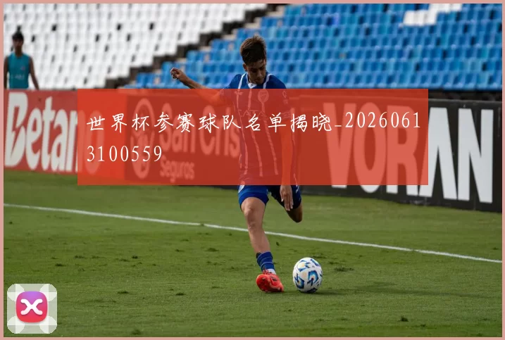 世界杯参赛球队名单揭晓_20260613100559