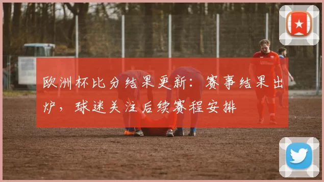 欧洲杯比分结果更新：赛事结果出炉，球迷关注后续赛程安排