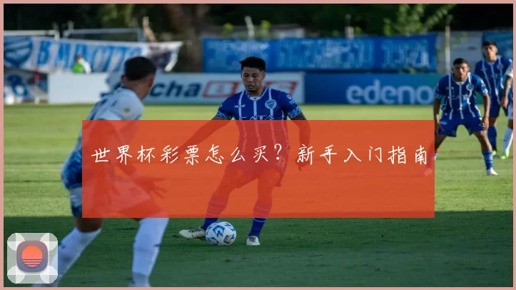 世界杯彩票怎么买？新手入门指南