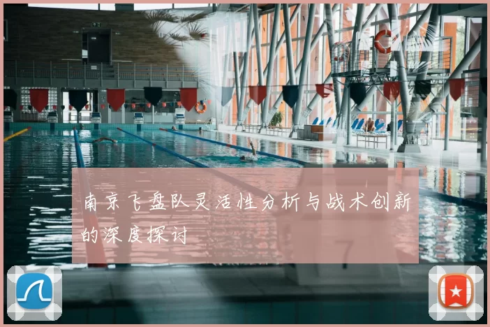 南京飞盘队灵活性分析与战术创新的深度探讨