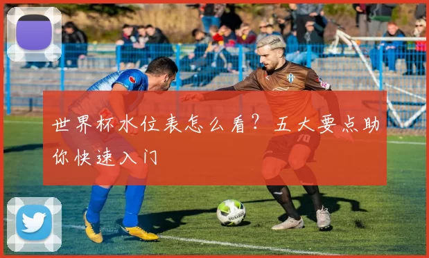 世界杯水位表怎么看？五大要点助你快速入门