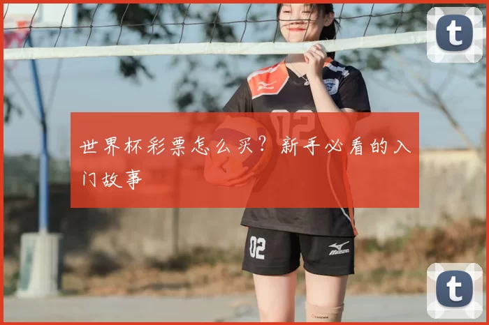 世界杯彩票怎么买？新手必看的入门故事